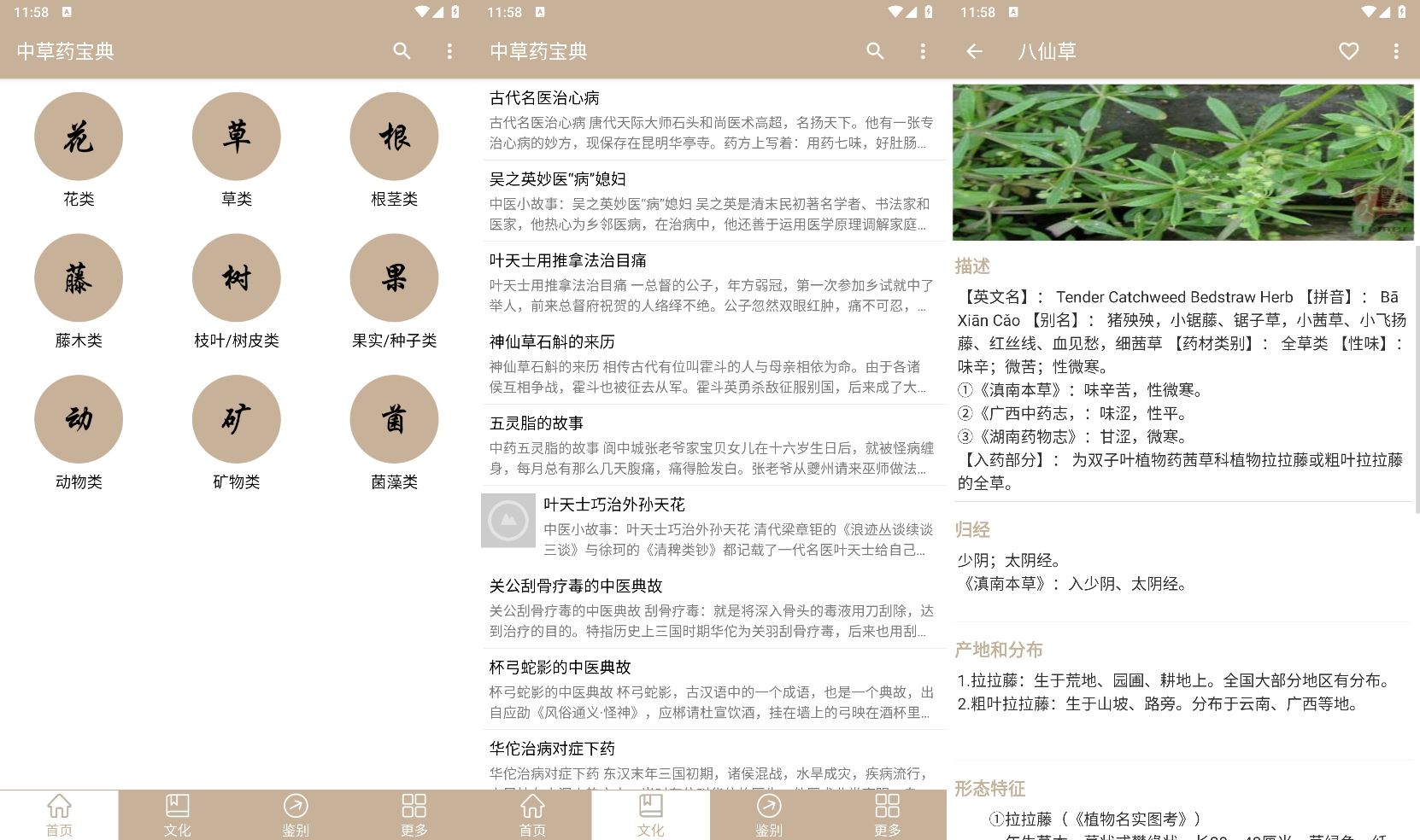 安卓中草药宝典v2.6纯净版