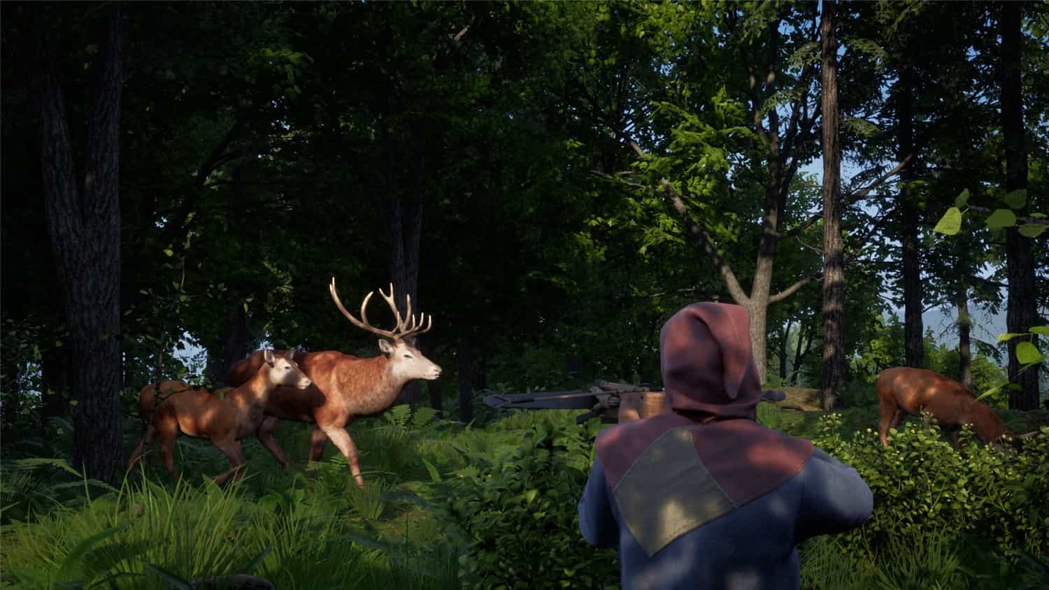 《中世纪王朝》v2.2.0.5中文版