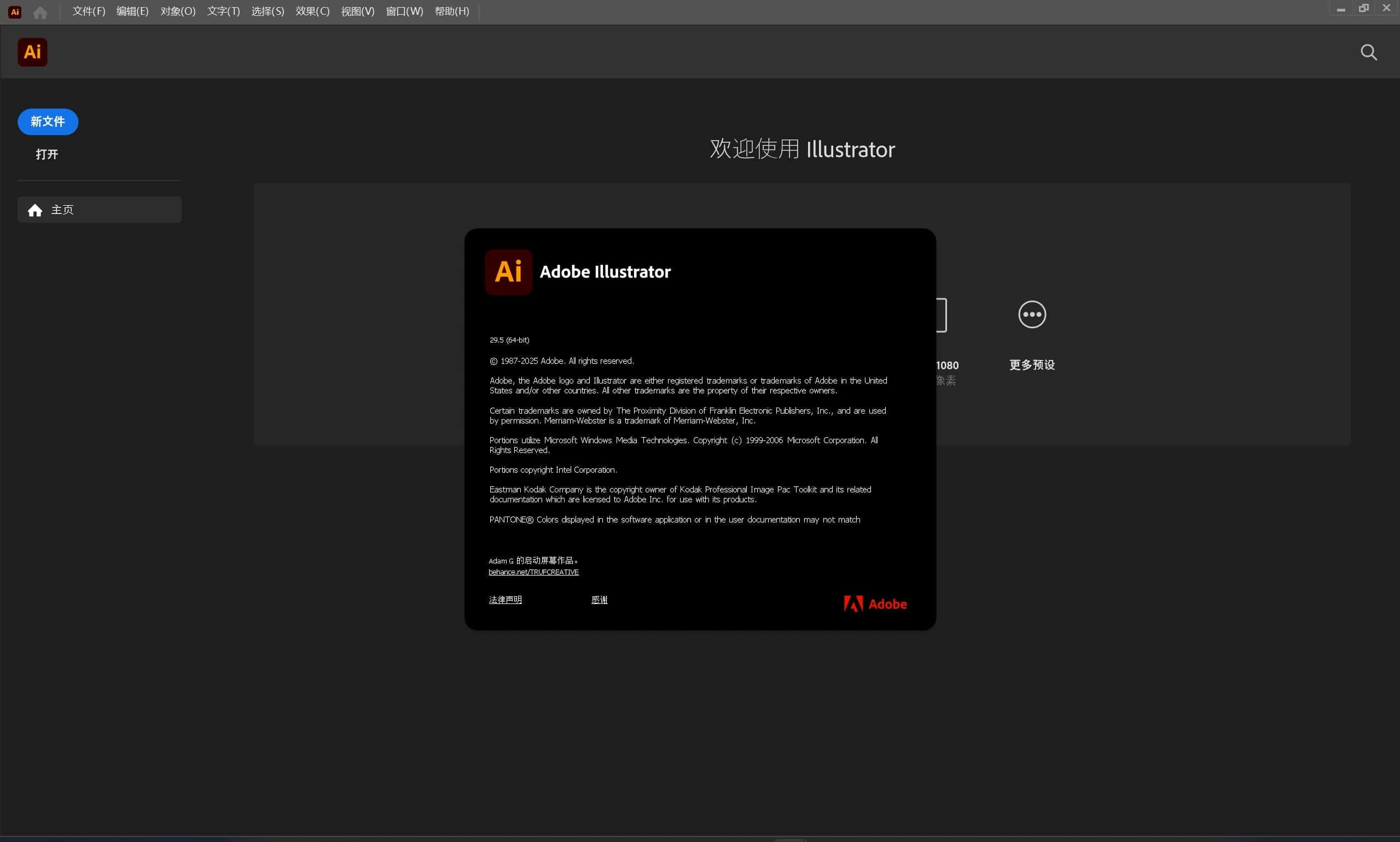 Adobe Illustrator 2025 v29.5.0.137